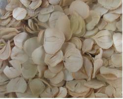 صادرات موسیر  - اصفهان