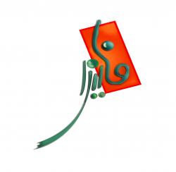 faliza ir  - تهران