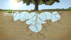 یکبار ابیاری برای چند هفته  - اصفهان