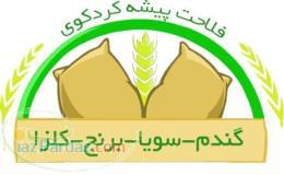 فروش رب گوجه فرنگی 