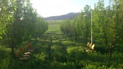 فروش باغ و زمین در هومند روستای گرم ابسرد  - تهران