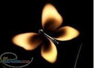 خریدار ساز خرید کیبورد و ارگ گیتار ویولن سنتور در محل