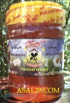 عسلهای 100 طبیعی درمانی و تضمینی کوهستان (عموشاهی)