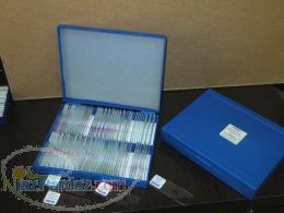 فروش لام میکروسکوپی آموزشی