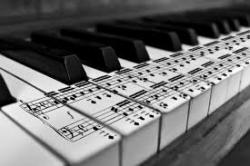 اموزش اواز و سلفژ  - تهران