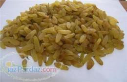 فروش کشمش آفتابی و تیزابی 