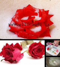 روش خشک کردن گل های طبیعی با سیلیکاژل  - تهران