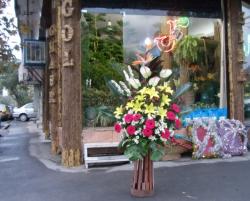 فروش فوری مغازه گلفروشی  - تهران