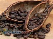 بازرگانی آندیا(تامین کننده مواد اولیه کارخانجات صنایع غذایی)