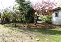 فروش حدود1000 متر خانه روستایی گیلان لشت نشا 85میلیون  - تهران