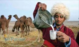 دوغ شترمرغ 