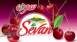 واردات و صادرات لواشک تمر هندی و قره قروت 