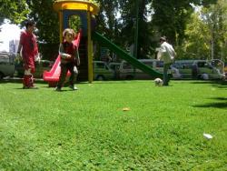 فروش چمن مصنوعی زیر قیمت بازار  - تهران