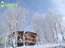 تخفیف ویژه زمستانی هتل بام سبز رامسر 