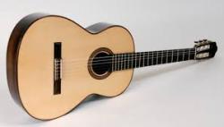 فروش گیتار در اسلامشهر  - تهران