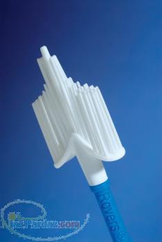 سیتو براش هلندی 