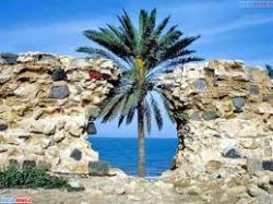 تورقشم زمینی و هوایی  - تهران