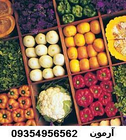 خشک کن سبزی  - تهران