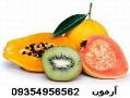 خشک کن میوه   سبزی   قارچ  - تهران