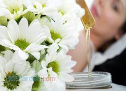 اپیلاسیون غزل 