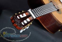 تدریس گیتار و کیبورد (سبک پاپ) 