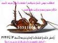 سمپاشی تضمینی سوسک ریز و درشت  ساس مگس  - تهران