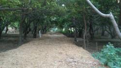 فروش باغچه 3بر 1200 متری کد108  - تهران