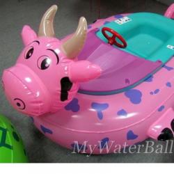 قایق شارژی جدید کودکان  - تهران