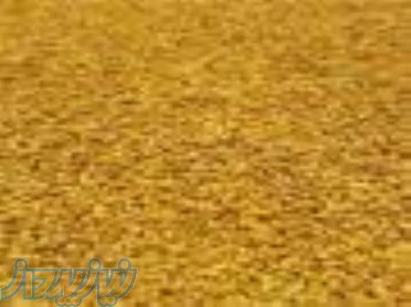 خرید و فروش بذر یونجه