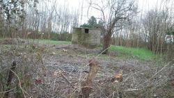 فروش زمین روستایی 600متر روستای چپک 