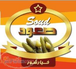 کارخانه خیارشور