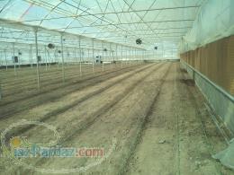 زمین گلخانه ای با 400 میلیون تومان وام اماده در شهرک گلخانه ای 