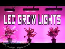 LED مخصوص رشدوگل دهی ومیوه دهی گیاه 
