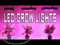 LED مخصوص رشدوگل دهی ومیوه دهی گیاه 