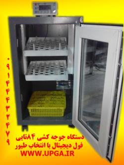 ماشین جوجه کشی دستگاه جوجه کشی 