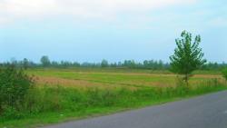 زمین با موقعیت عالی در شمال 