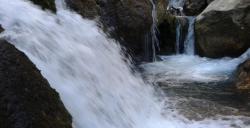 فروش زمین در سپیدان 