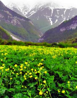 تورهای داخلی و خارجی عید فطر 93  - تهران