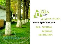 چسب محافظ تنه درختان پدیده َAgri-Delta com 