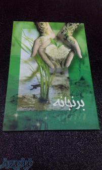 کتاب برنجانه