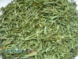 فروش نعنا و ترخون خشک 