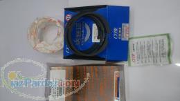 لوازم یدکی نیسان وانت دیزل و شوکا 