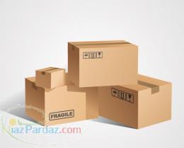 کارتن اساس کشی 