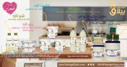 لبنیات سنتی ییلاق 