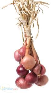 فروش موسیر تازه 