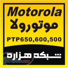 فروش ويژه موتورولا PTP600 - PTP 500 - PTP650 