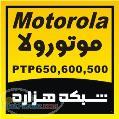 فروش ويژه موتورولا PTP600 - PTP 500 - PTP650 