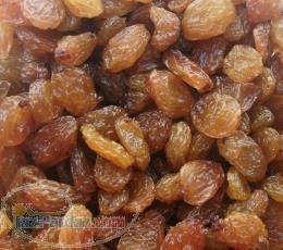 خشکبار حسنوند