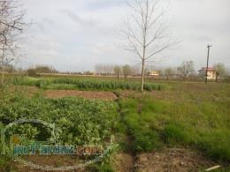 فروش استثنایی زمین بین دستک و بندر کیاشهر گیلان 