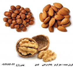 فروش عمده گردو بادام درختی و بادام هندی و فندق درجه 1 
